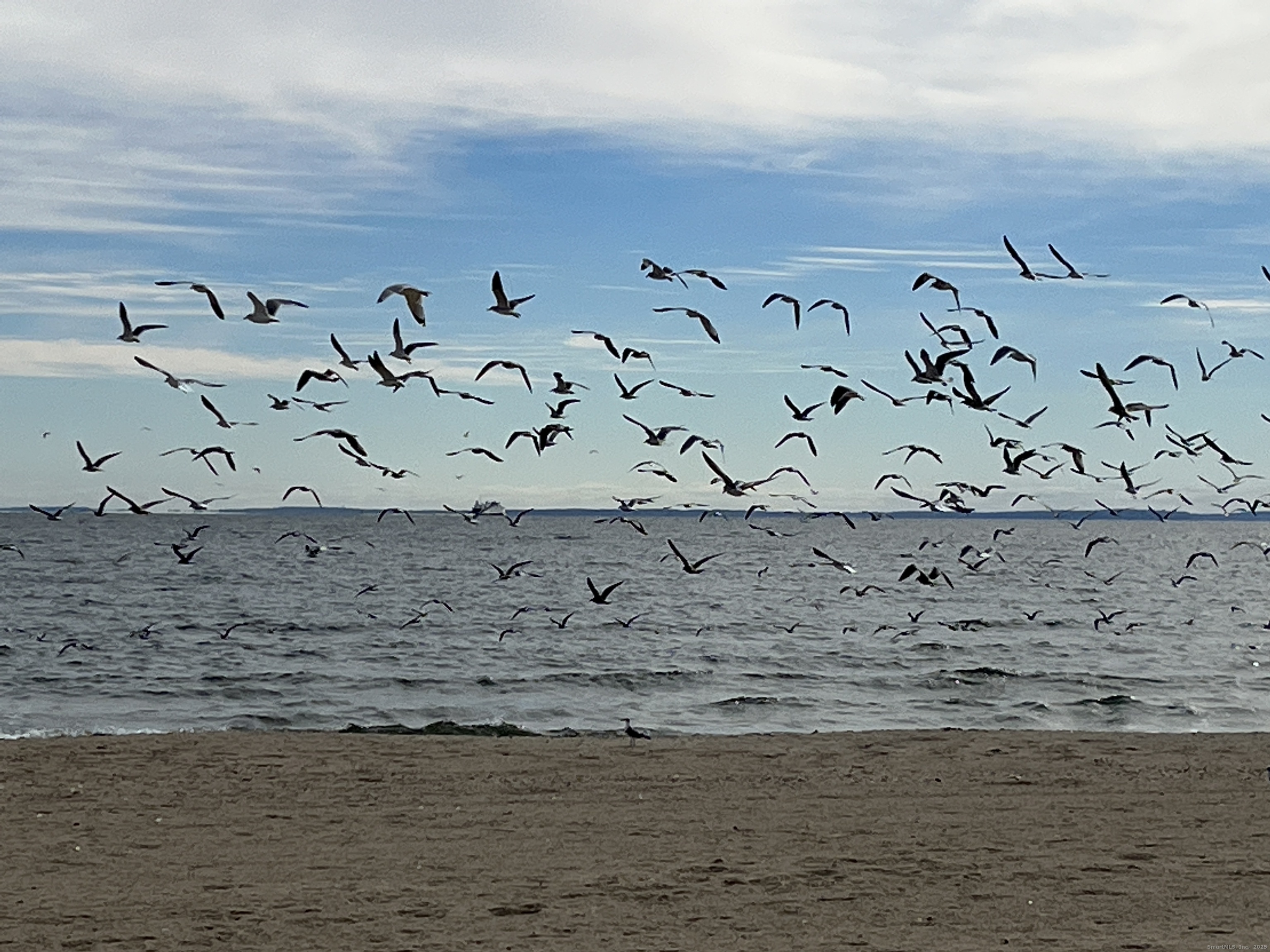 68 Cole Street Bridgeport, CT 06604 - Photo 30 of 31 a view of wooden floor