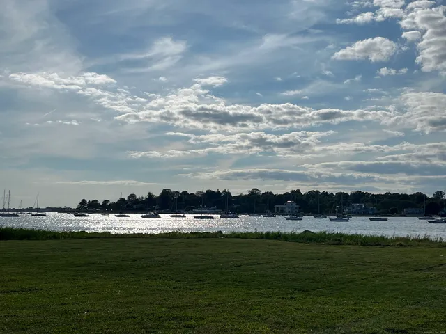 a view of a lake with houses in the background