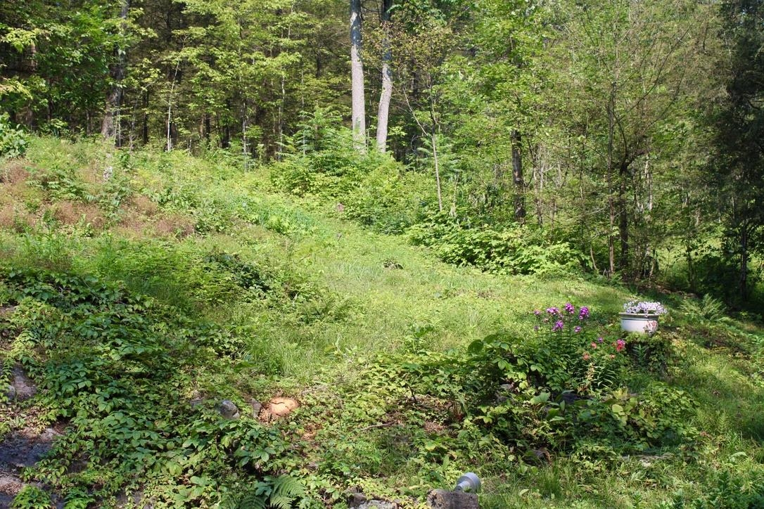 2006 South Middlebrook Road Waltham, VT 05491 - Photo 14 of 16 Gallery Image 14