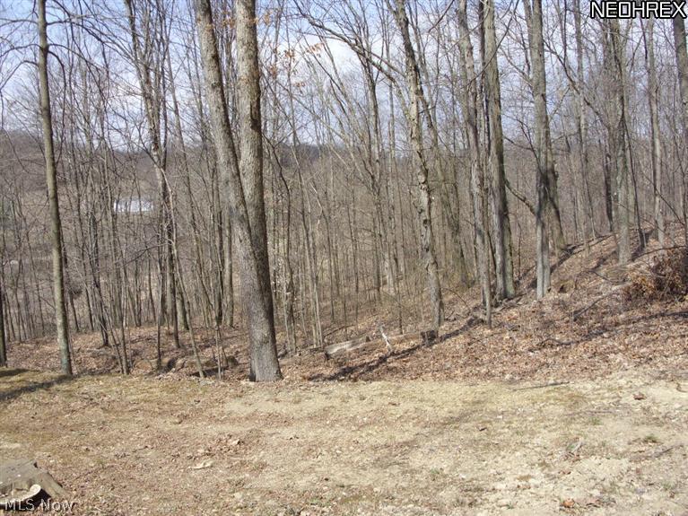 8343 Banner Road Cambridge, OH 43725 - Photo 19 of 21 Gallery Image 19