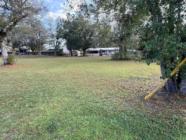 a view of a large yard with large trees