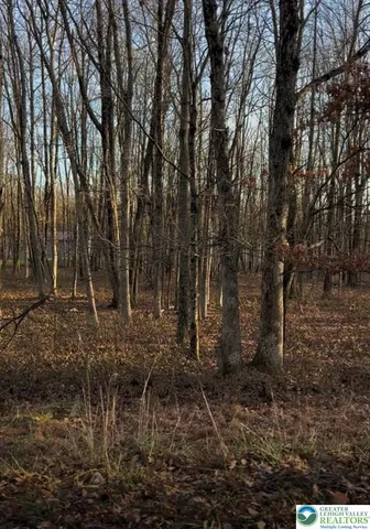 a bathroom with a shower and a window