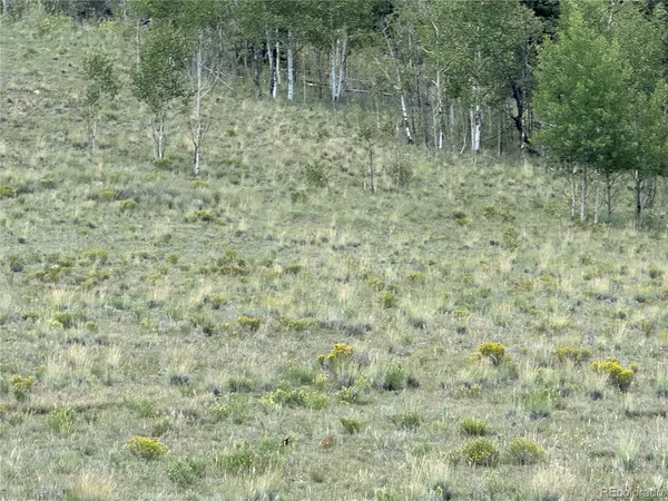 $49,500 | 95 Wabeno Court, Como, CO 80432