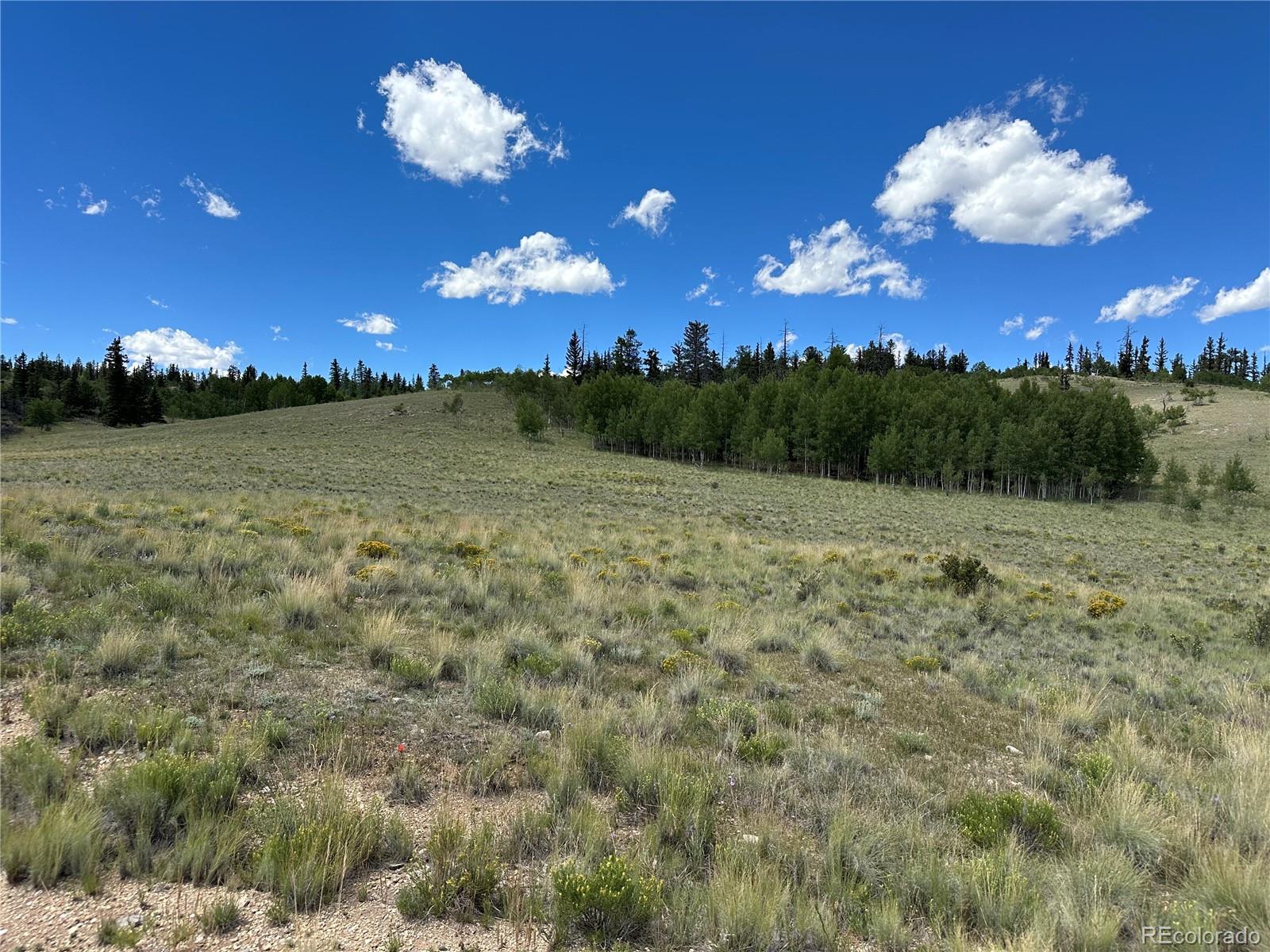 95 Wabeno Court Como, CO 80432 - Photo 8 of 14