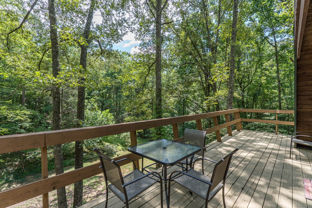 547 Snow Hill Ridge Road Murphy, NC 28906 - Photo 22 of 61
