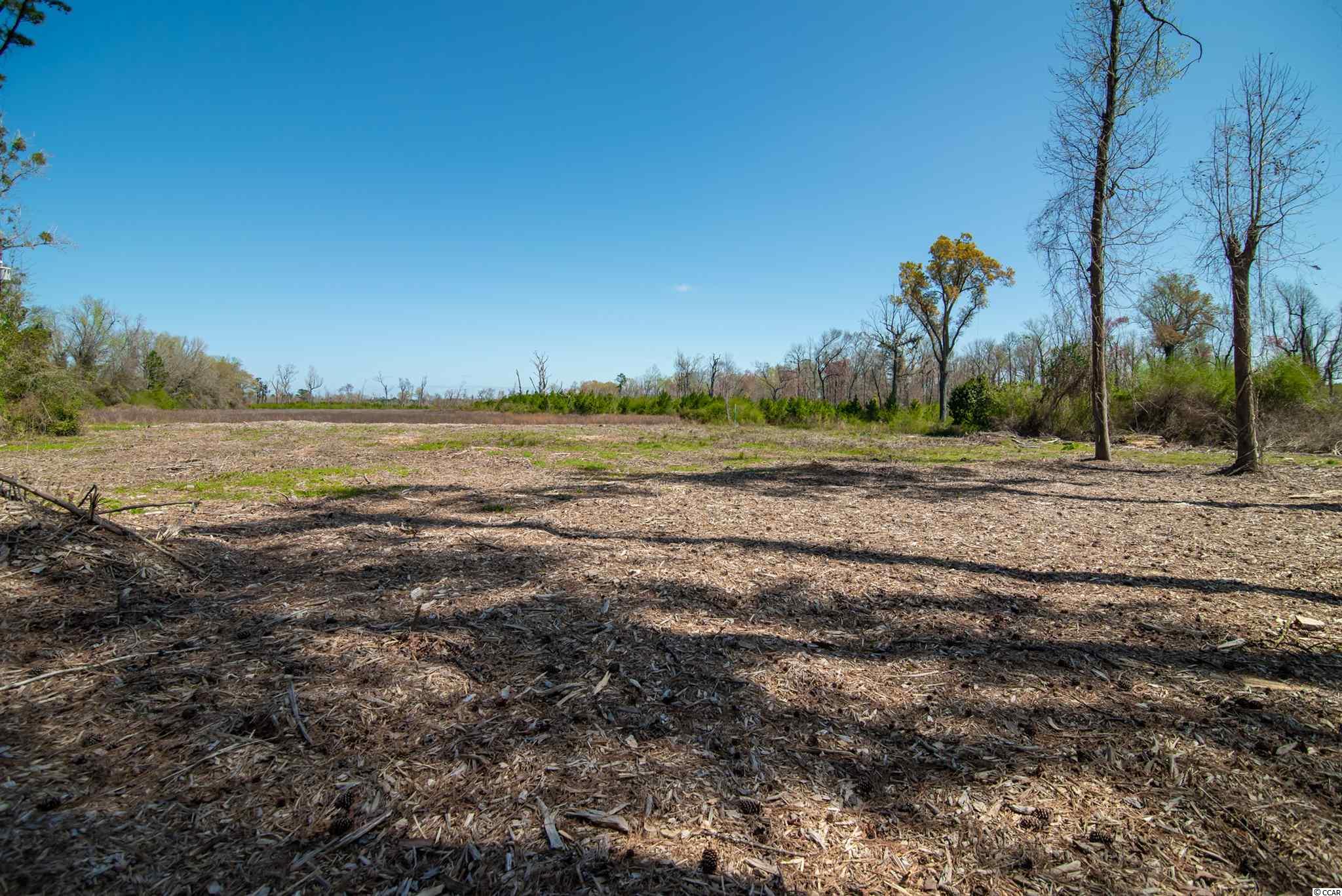 123 North Main Street Hemingway, SC 29554 - Photo 17 of 39