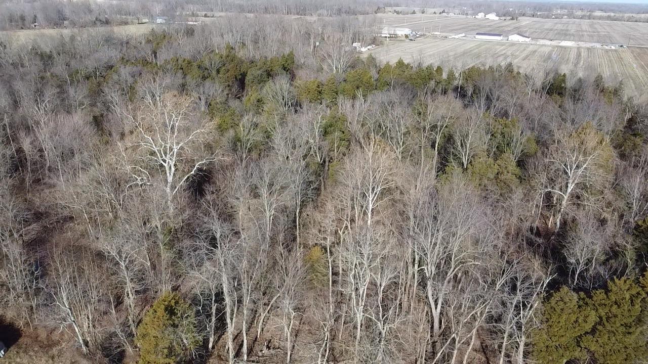 0 State Road 250 Rising Sun, IN 47040 - Photo 3 of 9