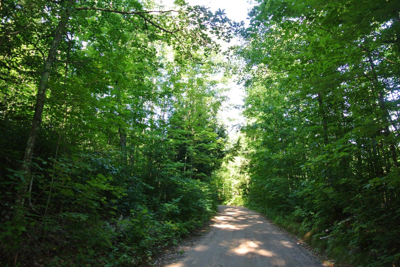 On West Clear Lake Road Lac du Flambeau, WI 54538 - Photo 18 of 23 Gallery Image 18
