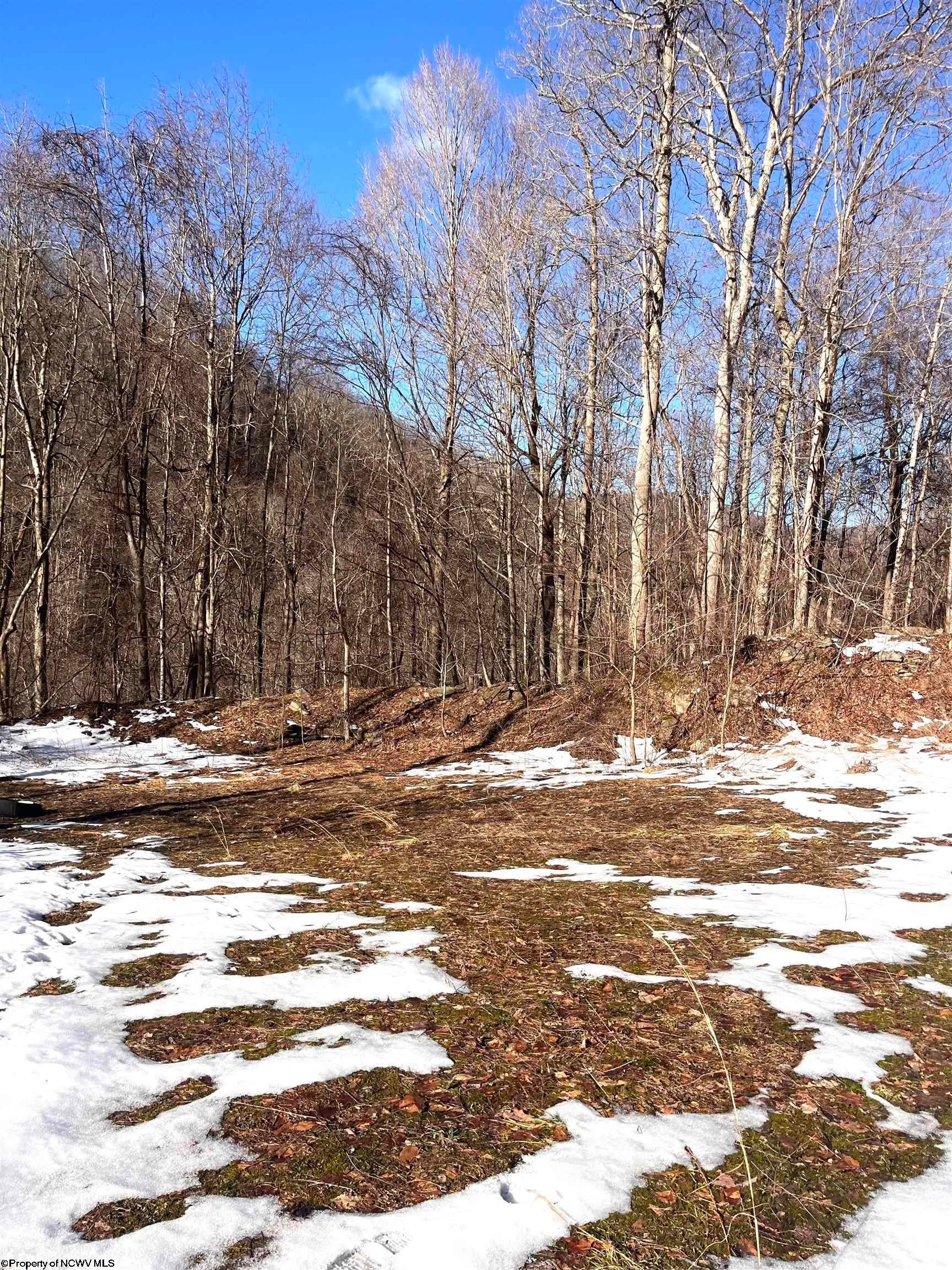 1 Fill Hollow Road Rowlesburg, WV 26425 - Photo 1 of 1 Gallery Image 1