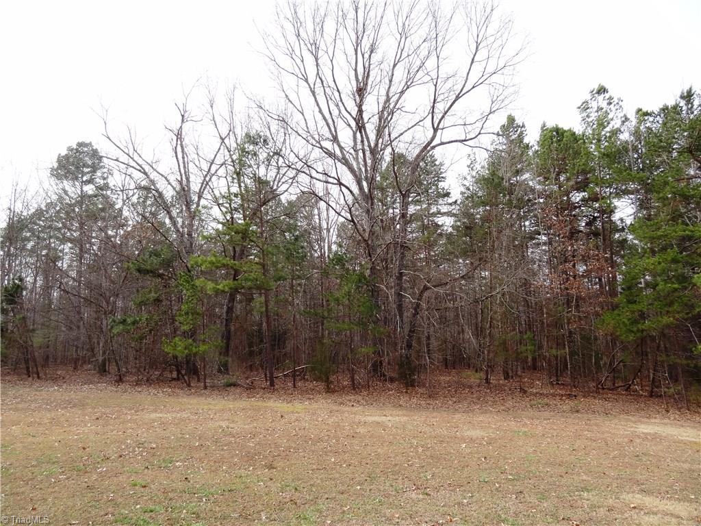 704 Fred Miller Road Lexington, NC 27292 - Photo 19 of 20 Gallery Image 19