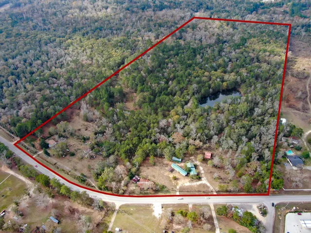 a view of a forest with a bench