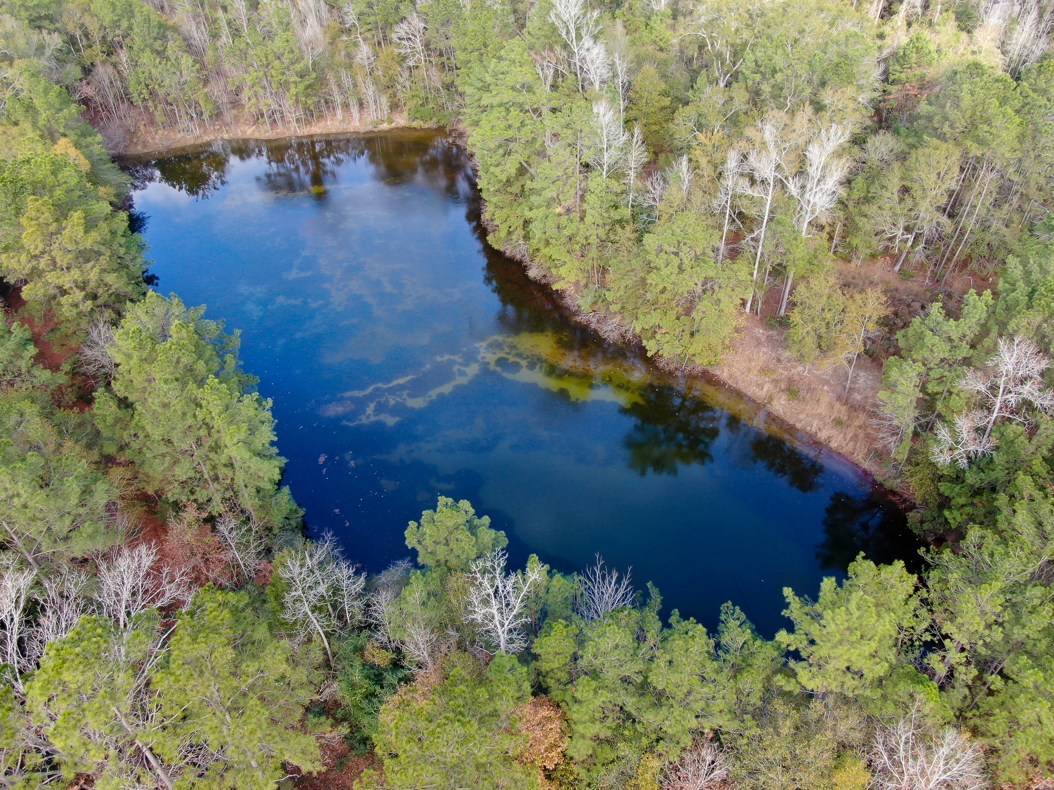 11260 Crockett Martin Road Conroe, TX 77306 - Photo 16 of 24 a view of a garden