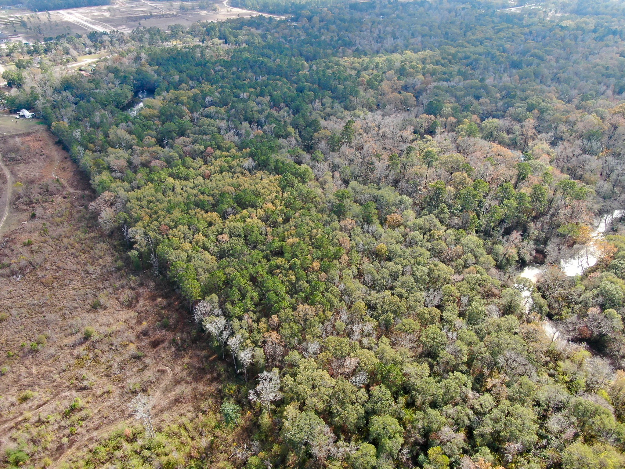 11260 Crockett Martin Road Conroe, TX 77306 - Photo 17 of 24