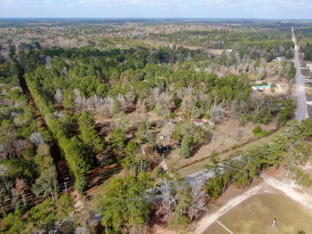 a view of a garden with a tree
