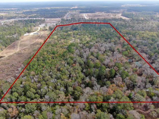 a view of a yard with a lush green forest
