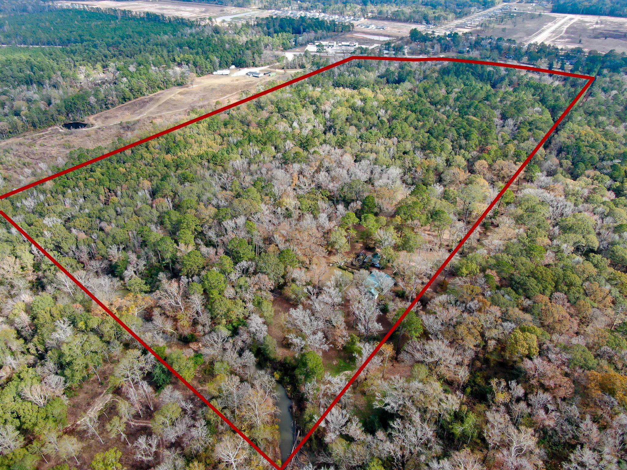 11260 Crockett Martin Road Conroe, TX 77306 - Photo 9 of 24 a view of a yard with a lush green forest