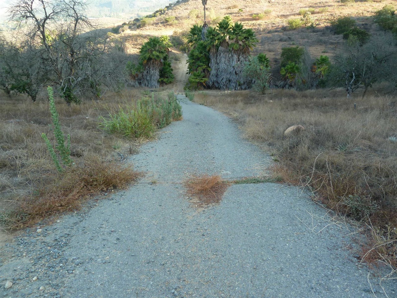 13316 Ricks Ranch Road Valley Center, CA 92082 - Photo 11 of 25 Gallery Image 11