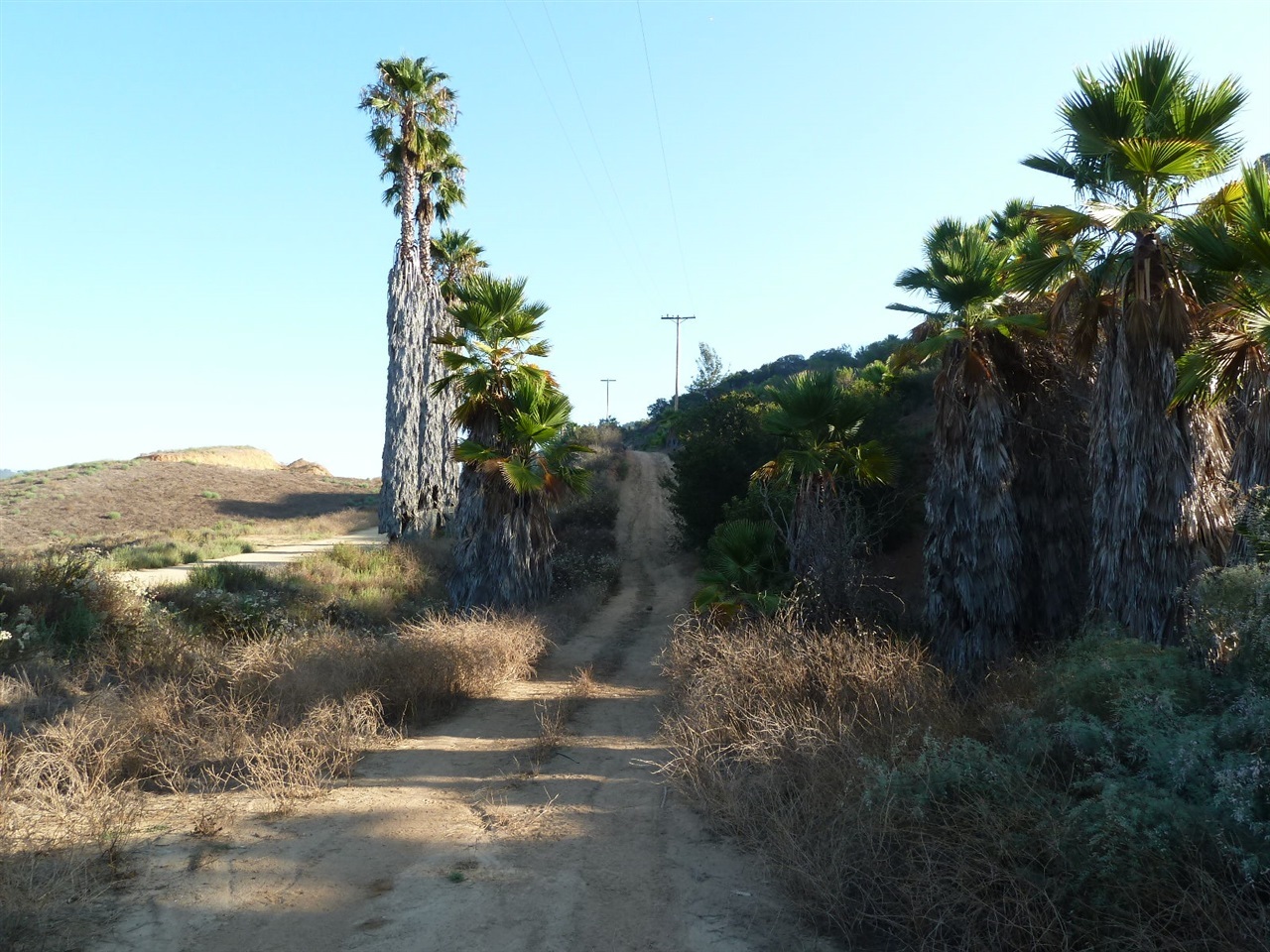 13316 Ricks Ranch Road Valley Center, CA 92082 - Photo 19 of 25 Gallery Image 19