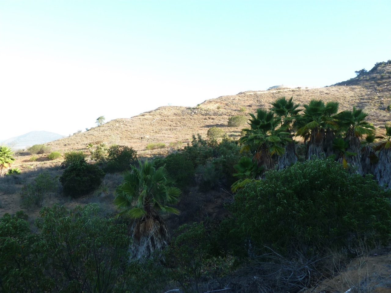 13316 Ricks Ranch Road Valley Center, CA 92082 - Photo 3 of 25 Gallery Image 3