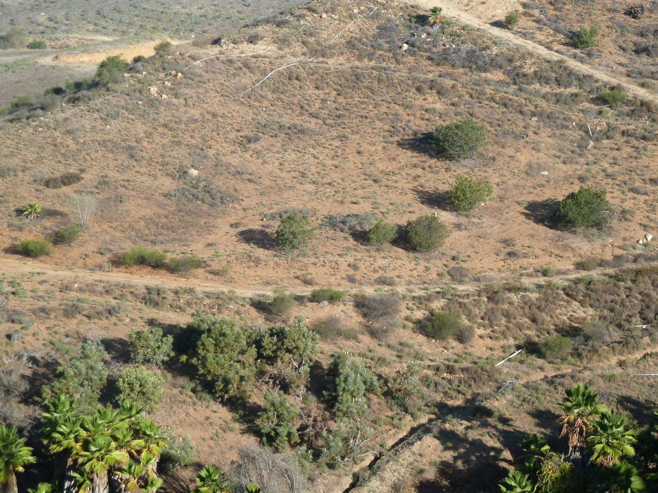 13316 Ricks Ranch Road Valley Center, CA 92082 - Photo 21 of 25 Gallery Image 21