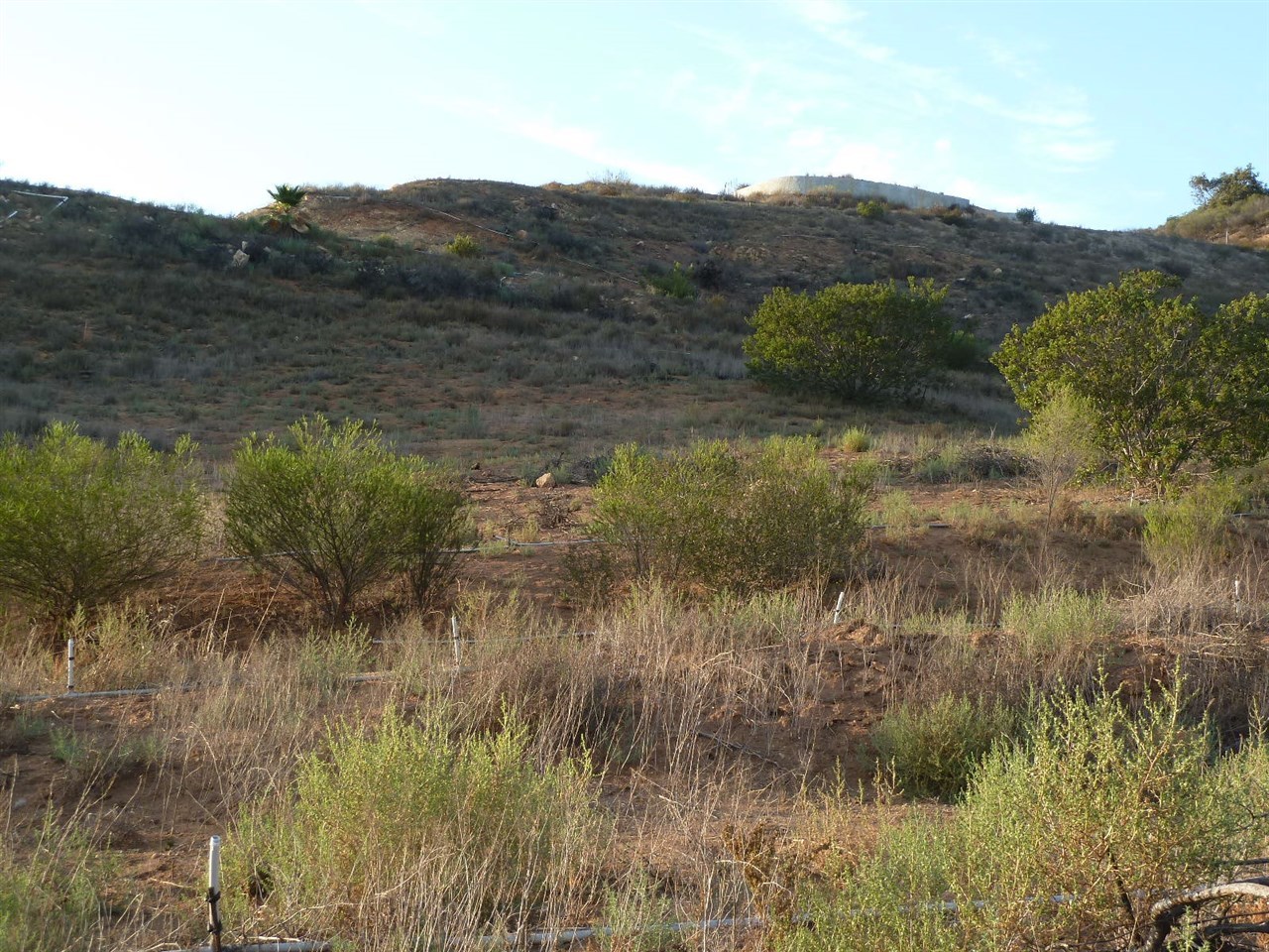 13316 Ricks Ranch Road Valley Center, CA 92082 - Photo 23 of 25 Gallery Image 23