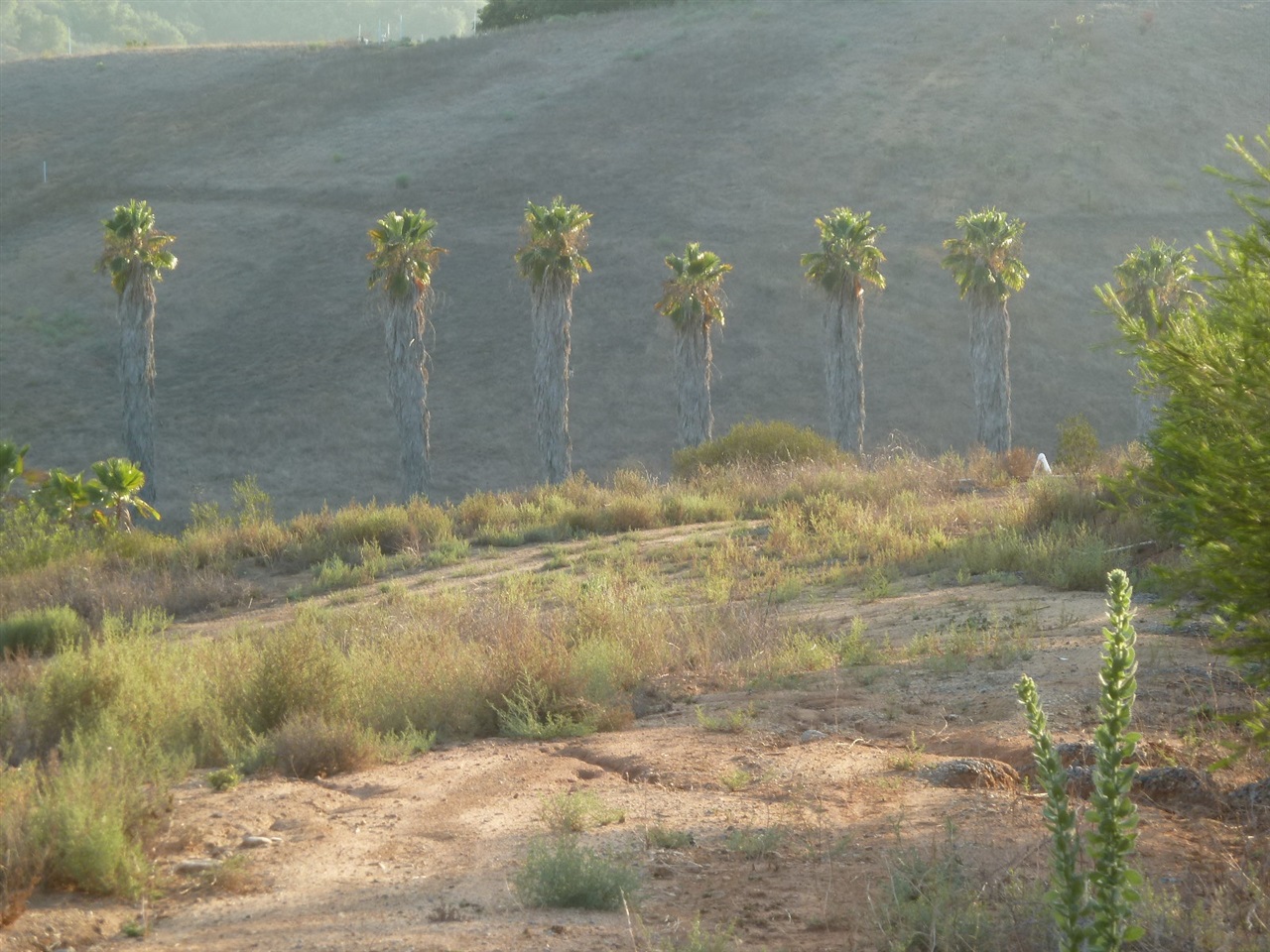 13316 Ricks Ranch Road Valley Center, CA 92082 - Photo 24 of 25 Gallery Image 24