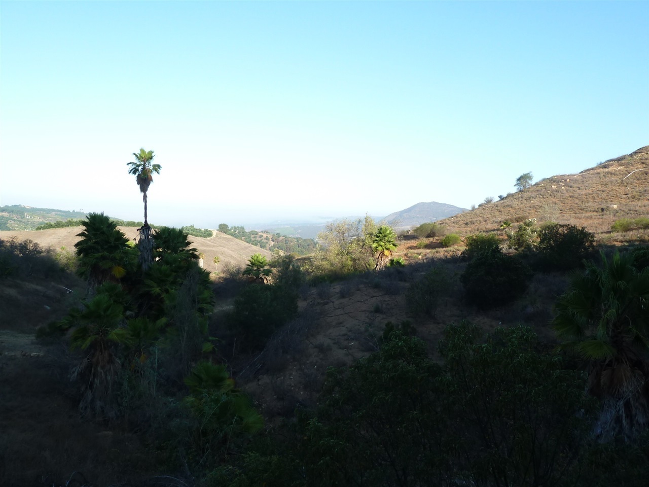 13316 Ricks Ranch Road Valley Center, CA 92082 - Photo 4 of 25 Gallery Image 4