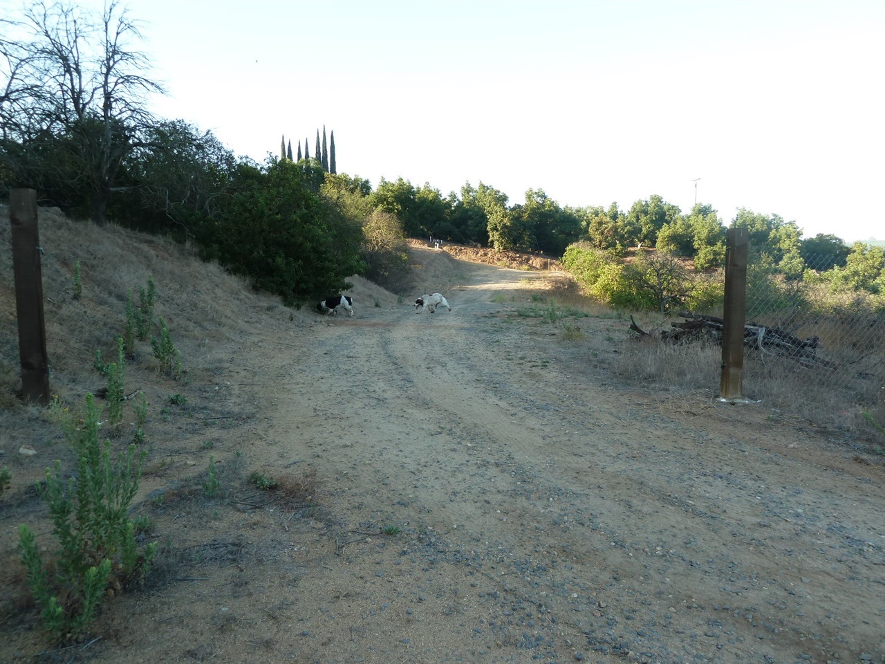 13316 Ricks Ranch Road Valley Center, CA 92082 - Photo 5 of 25 Gallery Image 5