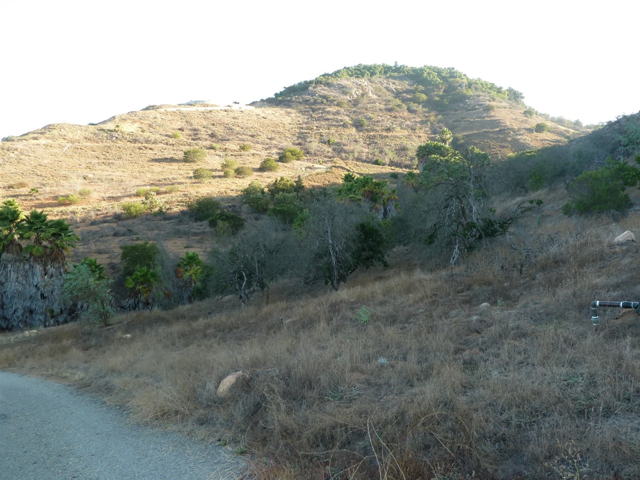 13316 Ricks Ranch Road Valley Center, CA 92082 - Photo 10 of 25 Gallery Image 10