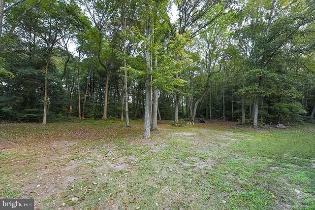 18703 Johnson Road Laurel, DE 19956 - Photo 30 of 32 Gallery Image 30