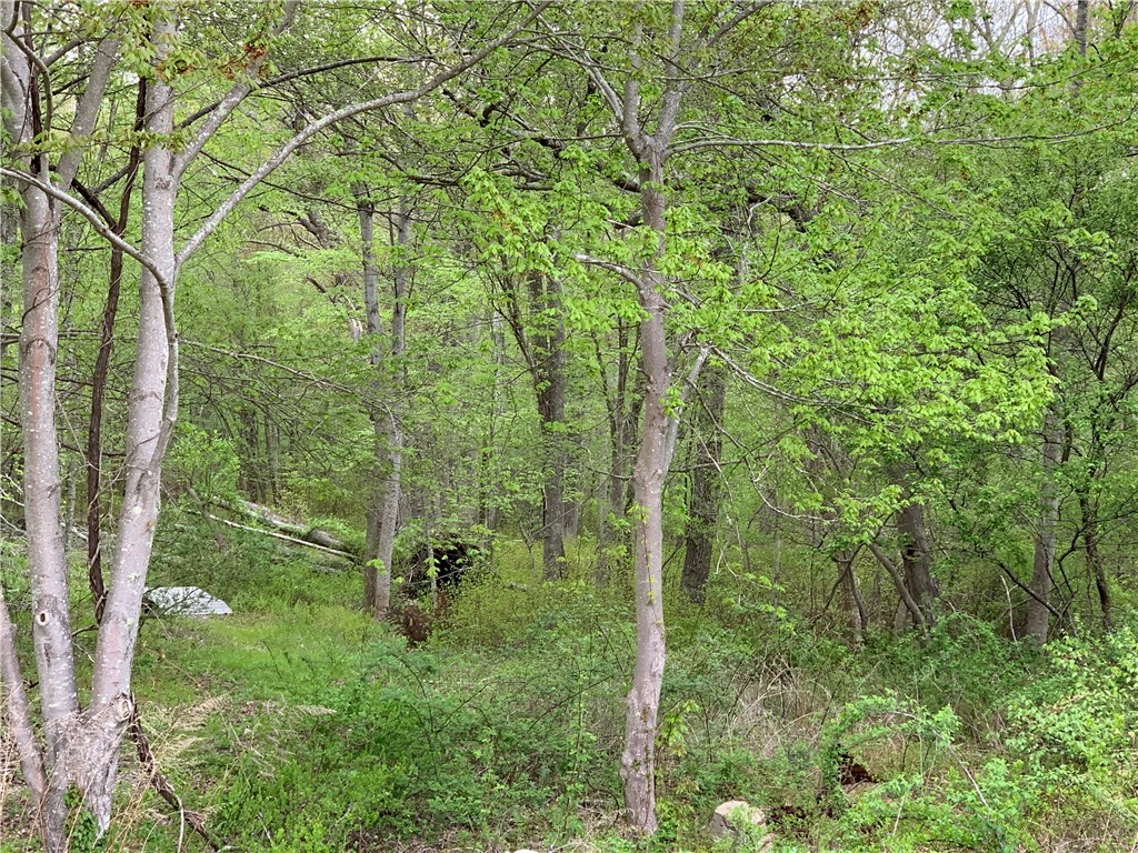 296 Spring Street Hopkinton, RI 02873 - Photo 4 of 11