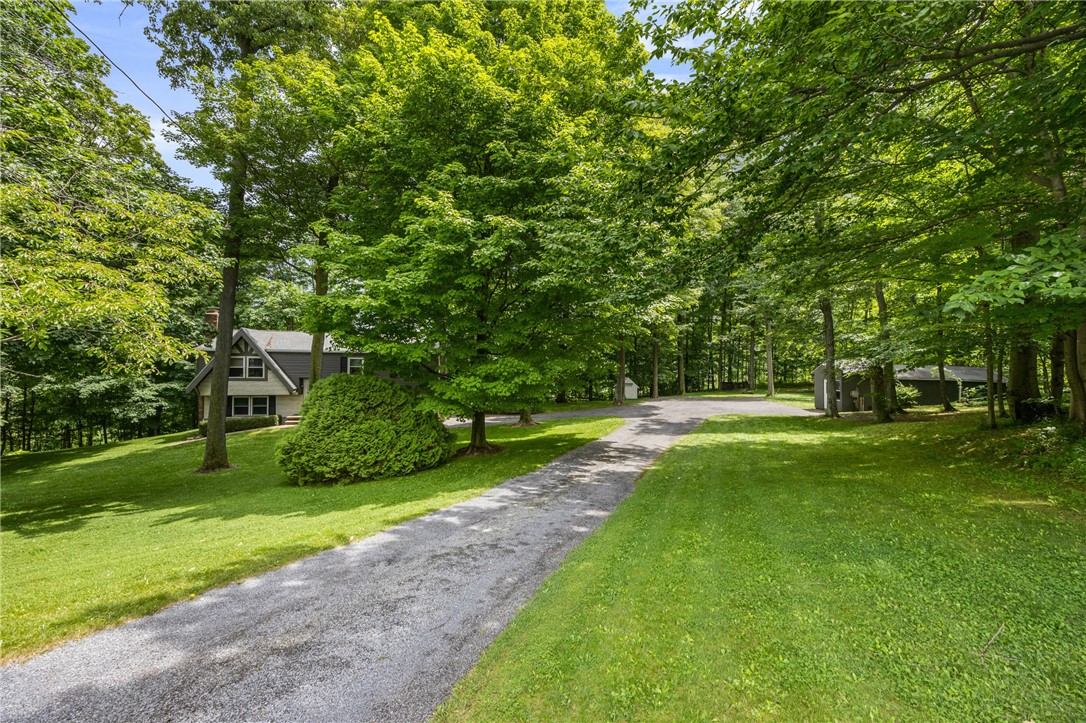 7242 Jackson Hill Road Arcadia, NY 14513 - Photo 3 of 39