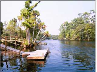 1261 River's Bend Crossing, Unit 4/D Steinhatchee, FL 32359 - Photo 1 of 1