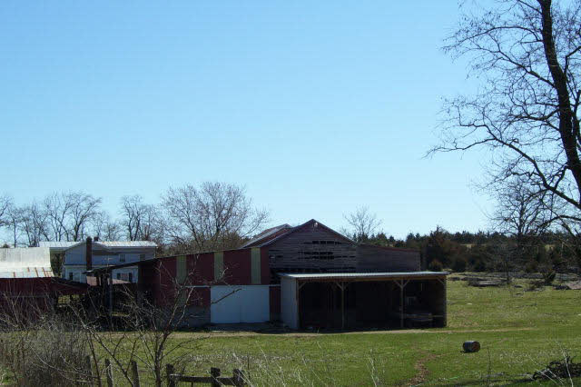 Gallery Image 6