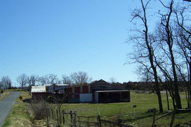 Gallery Image 7
