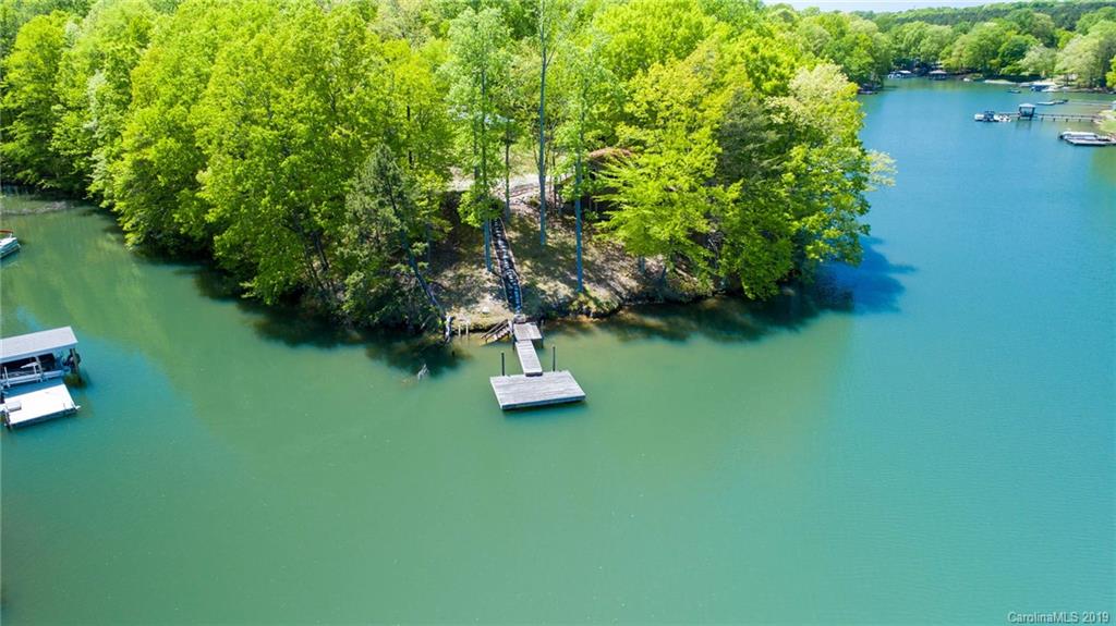 a view of a backyard with plants and lake view