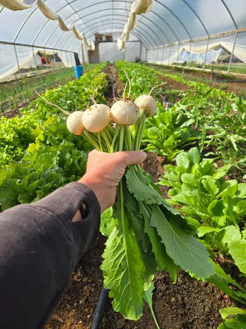 a backyard of a building with lots of green space