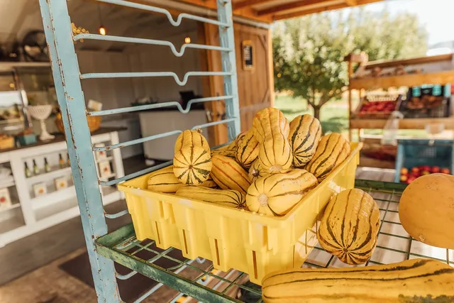 an aerial view of a house with swimming pool and mountain view