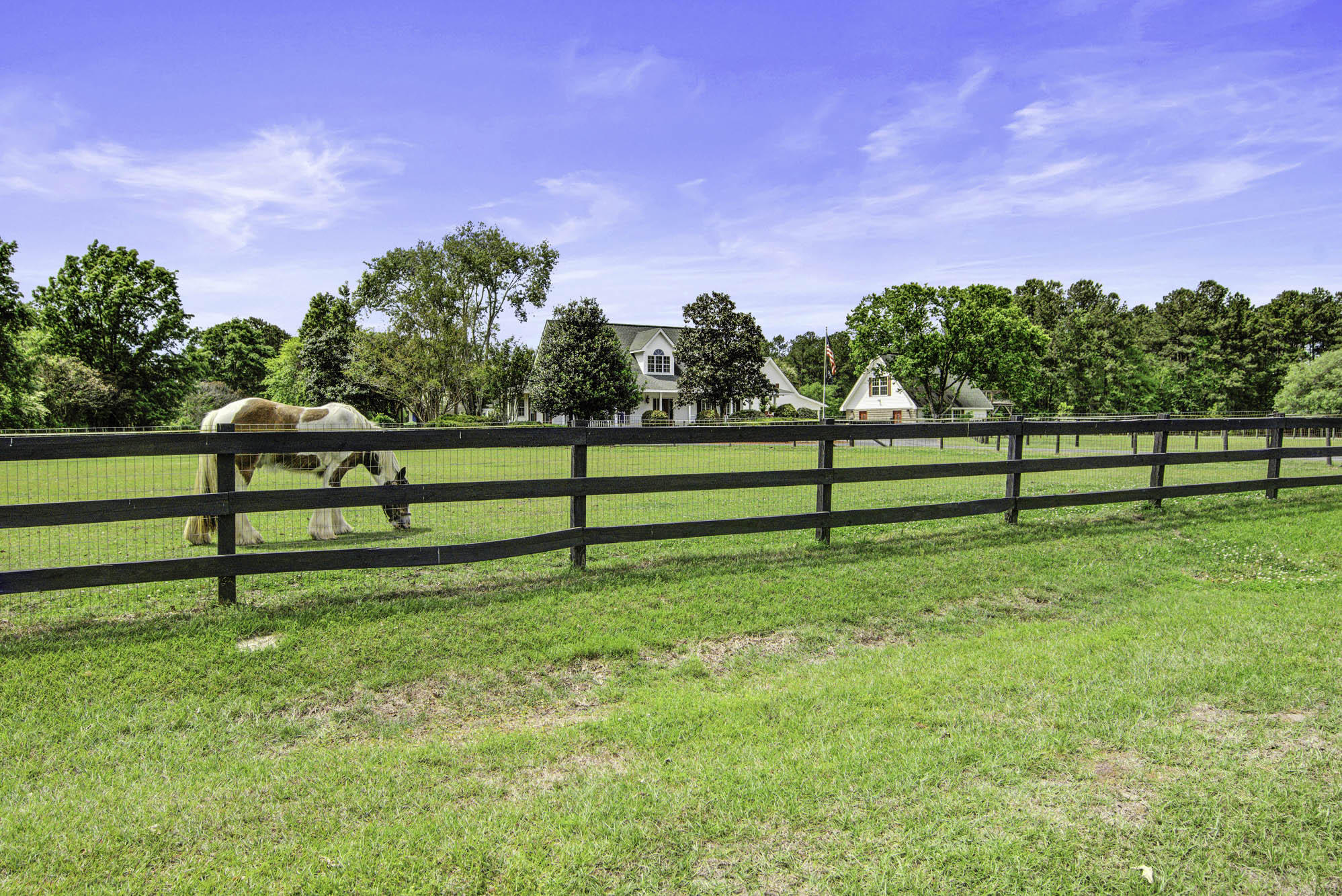 119 Walton Grove Road Summerville, SC 29483 - Photo 10 of 55 Horse Pasture