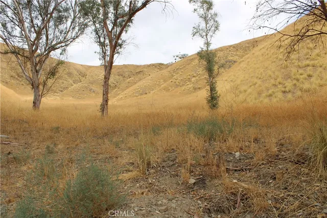 a view of a dry yard