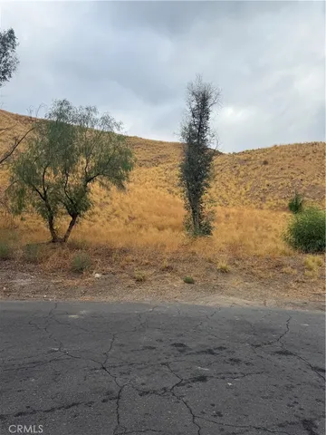 a view of dirt yard with a large tree