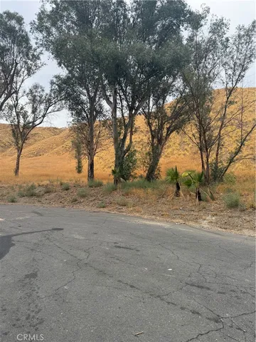 a view of dirt yard with a tree