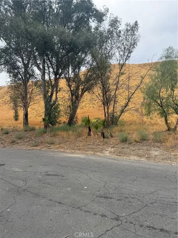 a view of dirt yard with a large tree