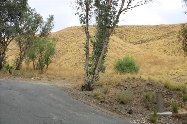 a view of a yard with trees