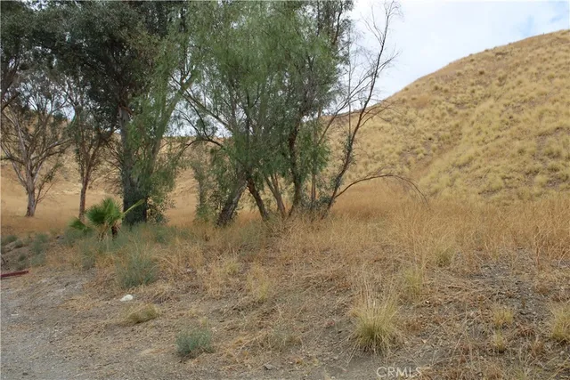 a view of a dry yard