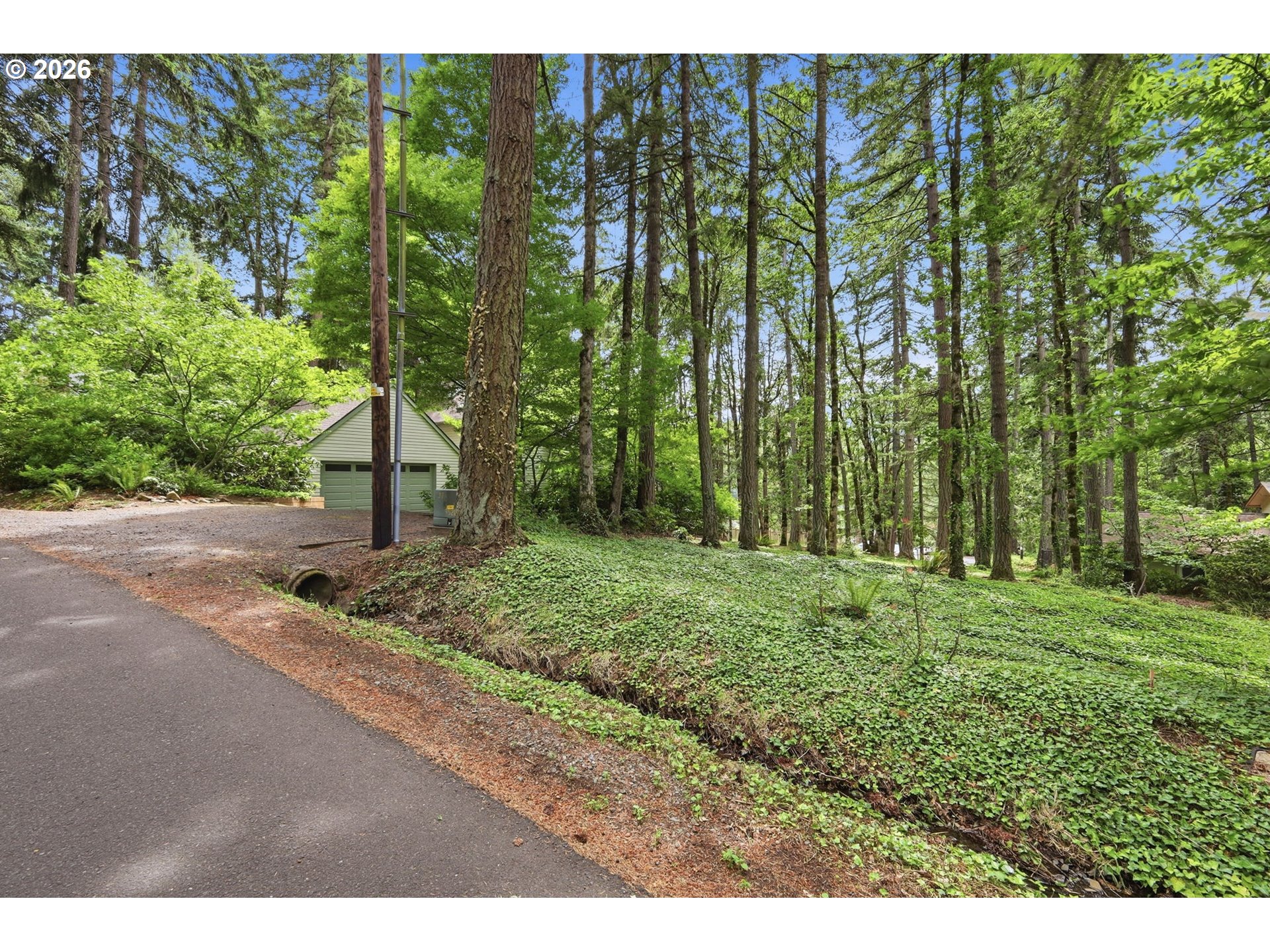 4650 Old Dillard Road Eugene, OR 97405 - Photo 6 of 48