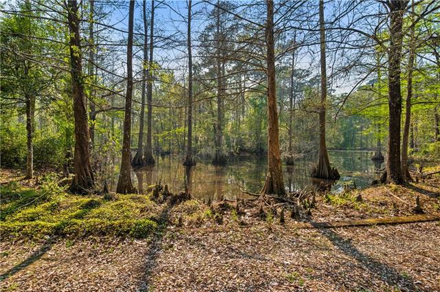 20 Juneau Road Woodworth, LA 71485 - Photo 30 of 47