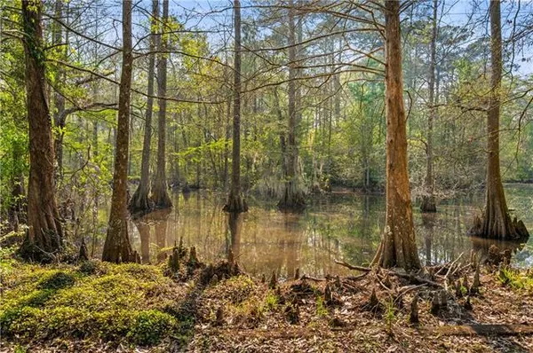 $650,000 | 20 Juneau Road, Woodworth, LA 71485