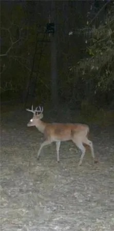 $650,000 | 20 Juneau Road, Woodworth, LA 71485