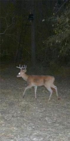 20 Juneau Road Woodworth, LA 71485 - Photo 46 of 47